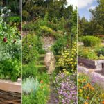 How to arrange your garden?