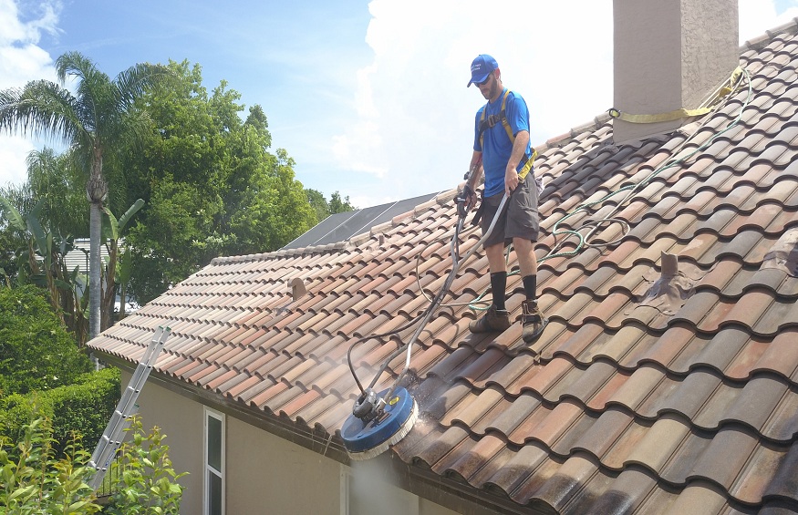 maintain your roof