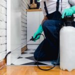 Here’s Why Professional Pest Control in Vancouver is More Effective Than DIY!
