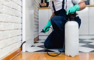 Here’s Why Professional Pest Control in Vancouver is More Effective Than DIY!
