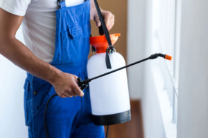 Unexpected Benefits of Professional Pest Control for Indianapolis Families