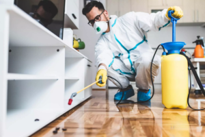 DIY vs. Expert Pest Control in Altamonte Springs: Choose the latter